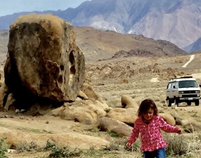 Tortuga – 1987 Volkswagen Westfalia